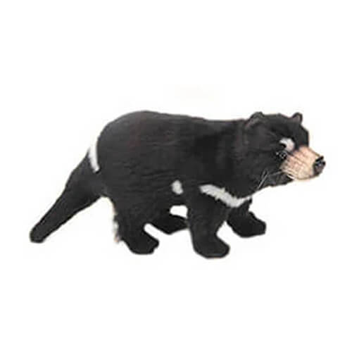 Hansa Tasmanischer Teufel