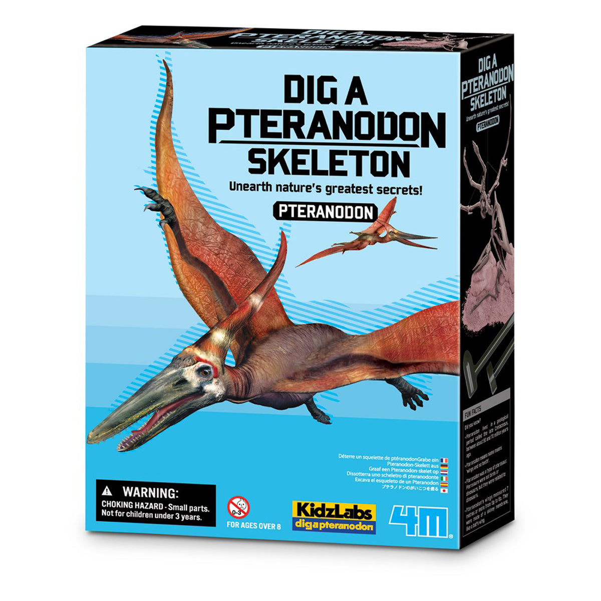 4M Dig a Dinosaur