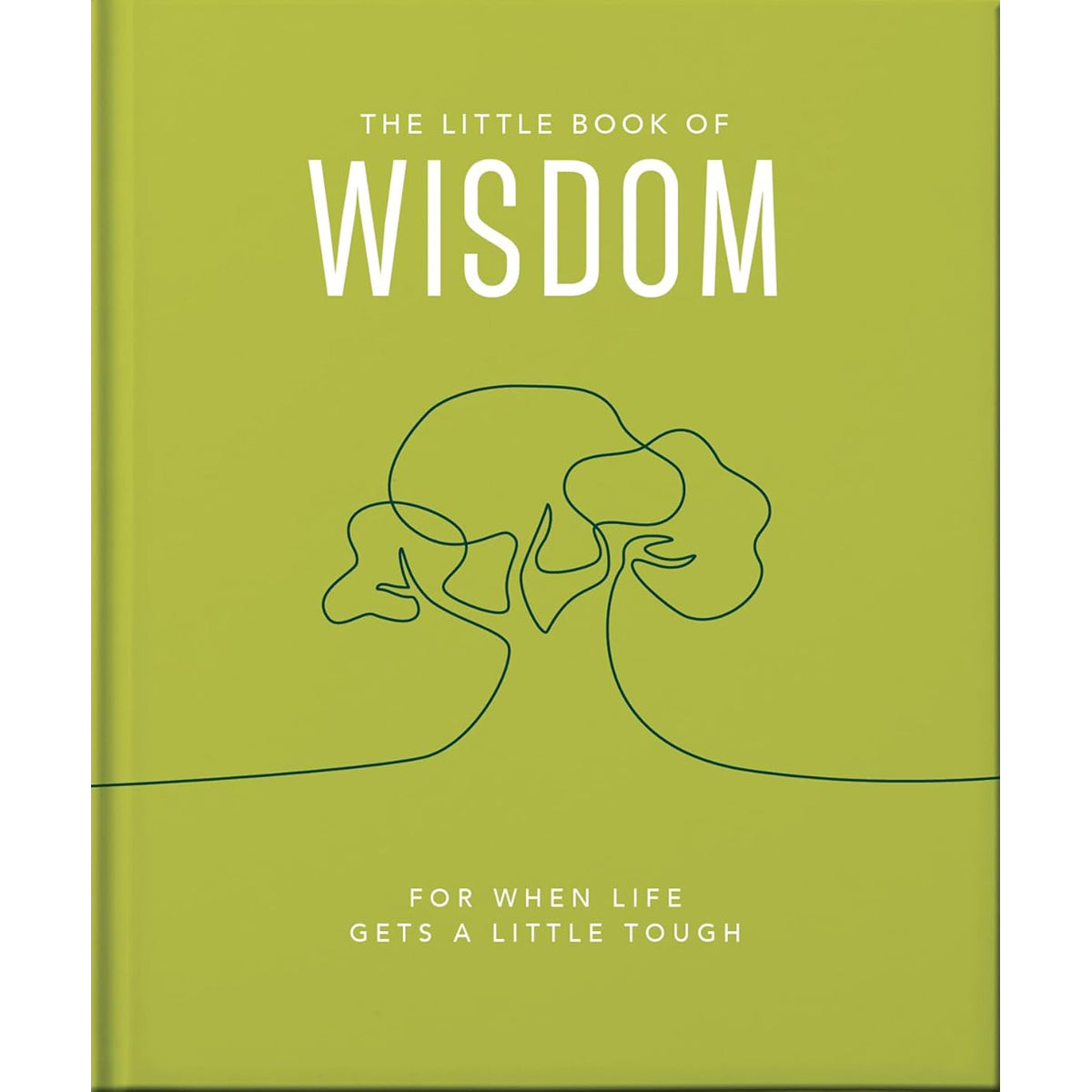 Little Book of Wisdom: Inspiration Collection