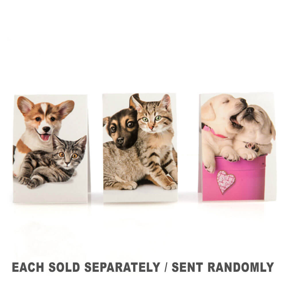 Lil' Note Pals Scented Sticky Note