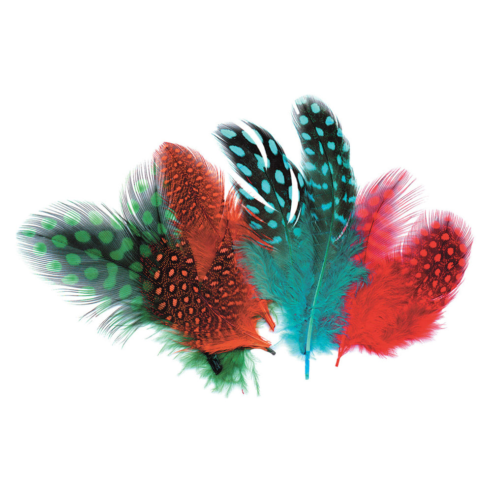 Guinea Fowl Feathers 10g 100pk