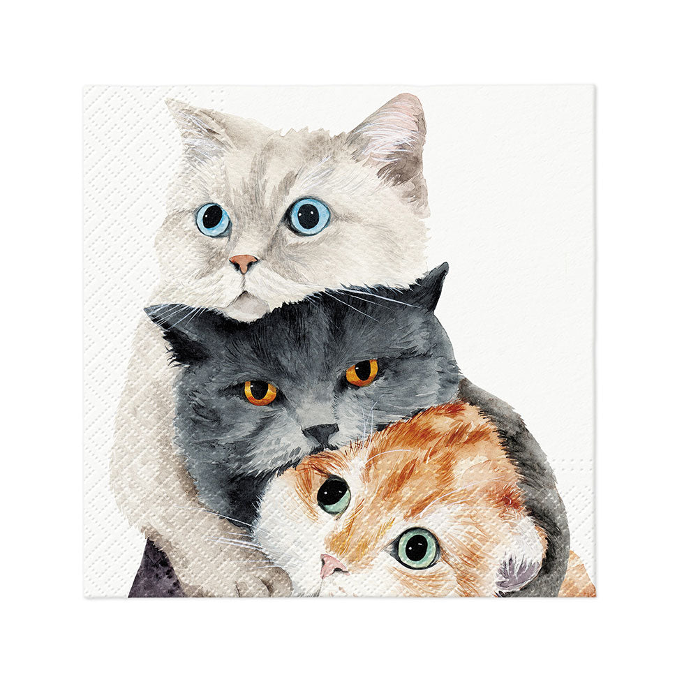 Paw 3-lag frokost serviet 33 cm